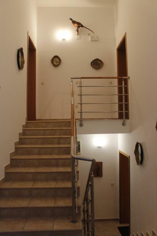 Apartmani Zeljko 梅塔伊纳 外观 照片